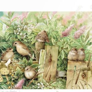 Vintage New Marjolein Bastin Garden Warblers Bird Puzzle 1994